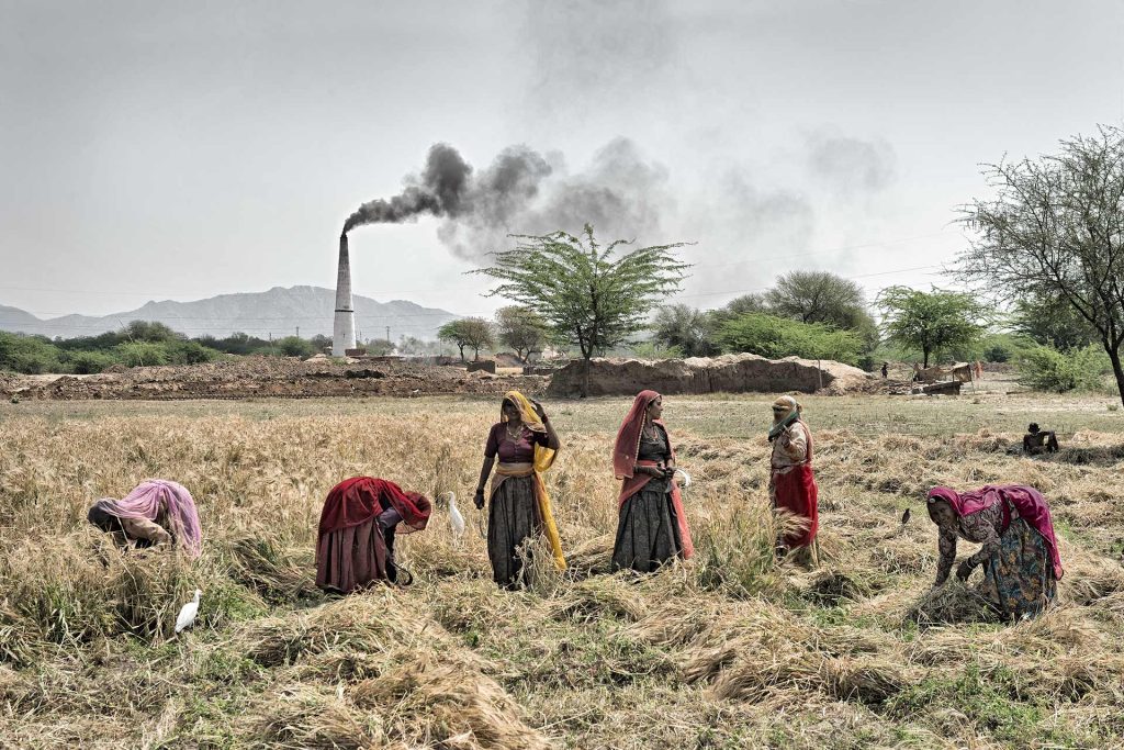 Autumn Chant By Patrick Donald