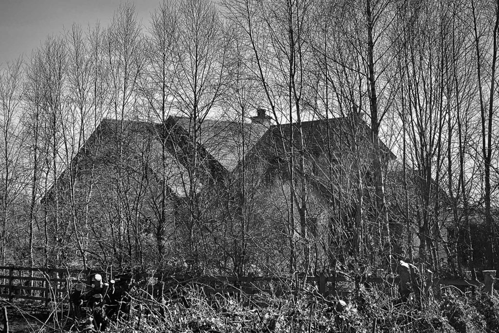 “Masters of Timeless Moments: The Power of Black and White”