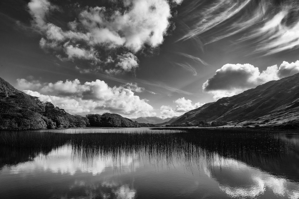 Transform Your Interior Space with the Timeless Beauty of Irish Fine Art Photography