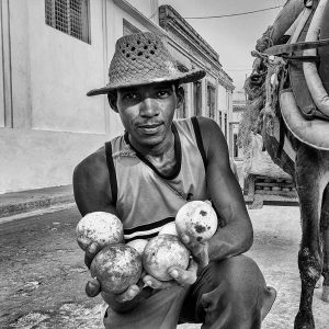 Orange Man Cuba | Limited Edition | Patrick Donald