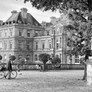 Jardin du Luxembourg, Paris | Limited Edition | Patrick Donald