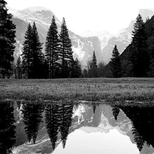 Yosemite National Park | Limited Edition | Patrick Donald Yosemite National Park | Limited Edition | Patrick Donald