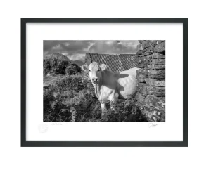 Cork - Pictures Of Ireland