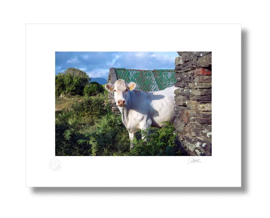 Irish Landscape Paintings: Landscape Paintings of Ireland