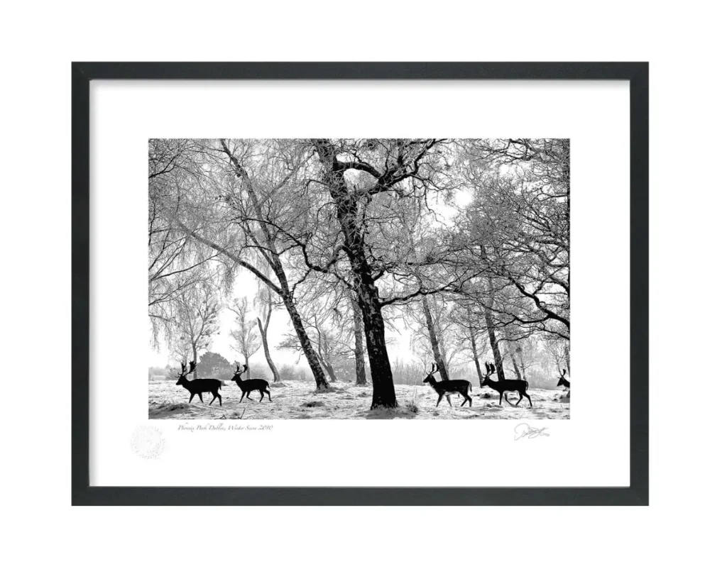 Countryside Photography Ireland