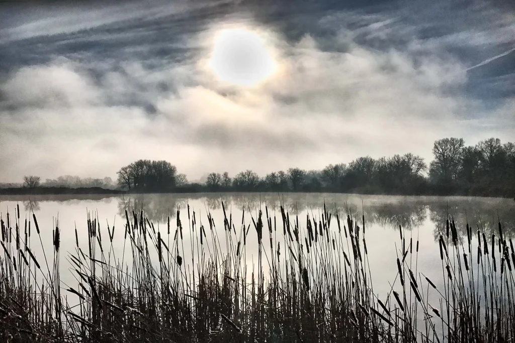 Irish Nature Photography: Taking Photos Of Irish Wildlife
