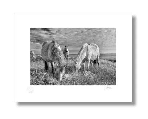 Pictures of Galway: Incredible Images Of Galway City, Ireland